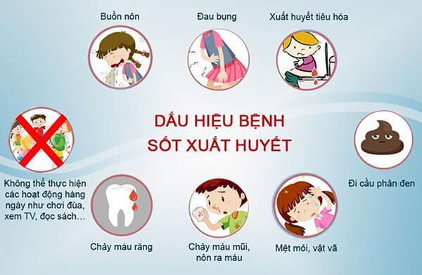 3. Phân Loại Triệu Chứng